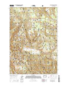 Lehman Springs 2014 topographic map thumbnail