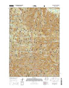 Holland Point 2014 topographic map thumbnail