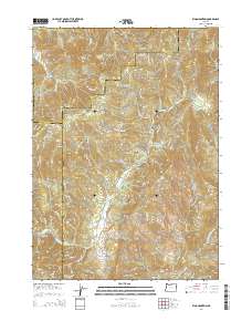King Mountain 2014 topographic map thumbnail