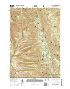 Little Baldy Mountain 2014 topographic map thumbnail