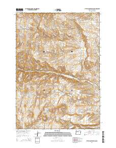 Little Juniper Spring 2014 topographic map thumbnail
