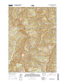 Kenyon Mountain 2014 topographic map preview