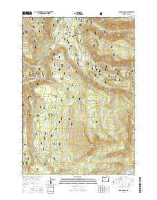 Marion Forks 2014 topographic map thumbnail