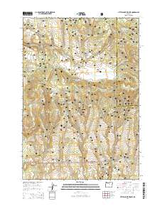Little Summit Prairie 2014 topographic map thumbnail