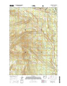 Beaver Butte 2014 topographic map thumbnail