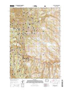 Blue Canyon 2014 topographic map thumbnail