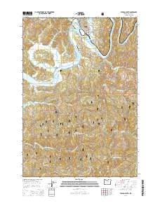 Toledo South 2014 topographic map thumbnail