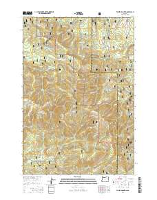 Tower Mountain 2014 topographic map thumbnail