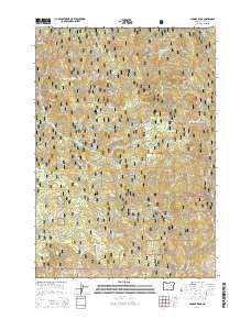 Cougar Rock 2014 topographic map thumbnail