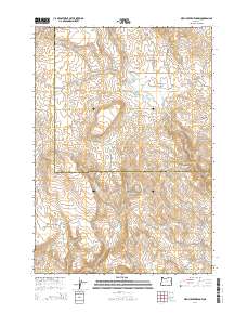 Birch Creek Meadow 2014 topographic map preview