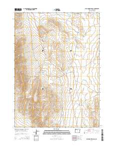 Blue Mountain Pass 2014 topographic map thumbnail