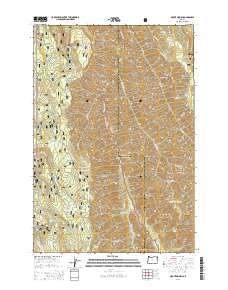Mount Moriah 2014 topographic map thumbnail