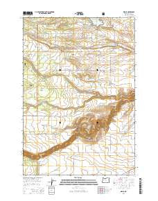 Wamic 2014 topographic map thumbnail