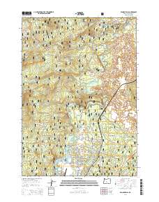 Benham Falls 2014 topographic map thumbnail
