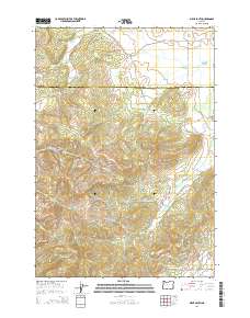 Airlie South 2014 topographic map thumbnail
