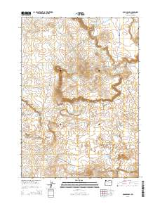 Bogus Bench 2014 topographic map thumbnail