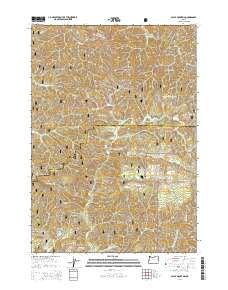 Baldy Mountain 2014 topographic map thumbnail