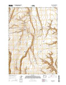 Balls Lake 2014 topographic map thumbnail