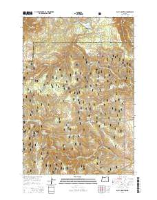 Bally Mountain 2014 topographic map thumbnail