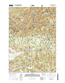 Big Canyon 2014 topographic map thumbnail
