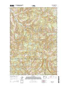 Bacona 2014 topographic map thumbnail