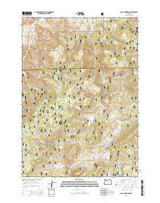Alsup Mountain 2014 topographic map thumbnail