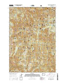 Bagby Hot Springs 2014 topographic map thumbnail