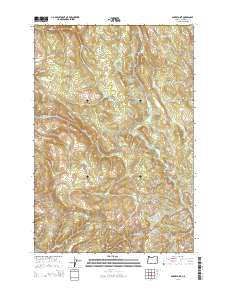 Baker Point 2014 topographic map thumbnail