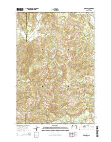 Birkenfeld 2014 topographic map thumbnail