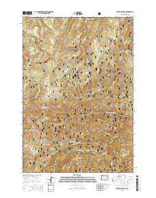 Anthony Butte 2014 topographic map thumbnail