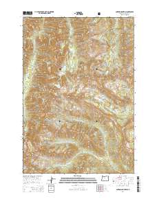 Aneroid Mountain 2014 topographic map thumbnail