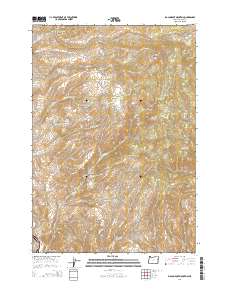 Big Lookout Mountain 2014 topographic map thumbnail