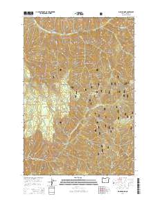 Big Meadows 2014 topographic map thumbnail