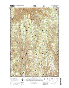 Billy Meadows 2014 topographic map thumbnail