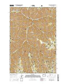Bingham Springs 2014 topographic map thumbnail