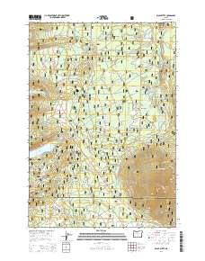 Black Butte 2014 topographic map thumbnail