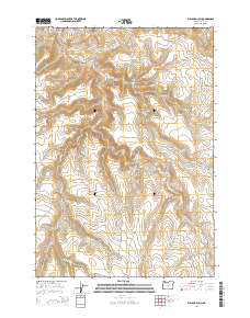 Bullock Gulch 2014 topographic map thumbnail