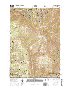 Bullrun Rock 2014 topographic map thumbnail
