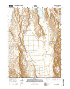 Coleman Lake 2014 topographic map thumbnail