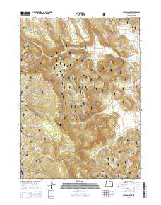Coleman Point 2014 topographic map thumbnail