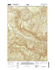 Chandler Mountain 2014 topographic map thumbnail