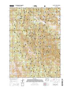 Calamity Butte 2014 topographic map thumbnail