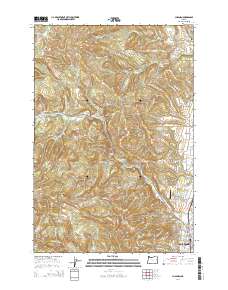 Chapman 2014 topographic map thumbnail