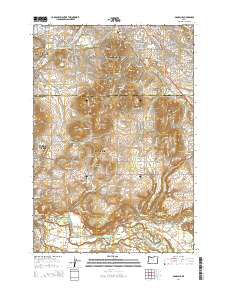Damascus 2014 topographic map preview