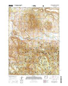 Ferguson Mountain 2014 topographic map thumbnail