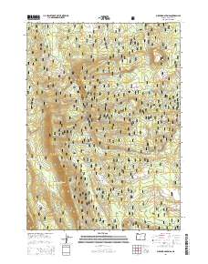 Buckhorn Springs 2014 topographic map thumbnail