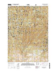 Dixie Meadows 2014 topographic map thumbnail