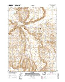 Downey Canyon 2014 topographic map thumbnail