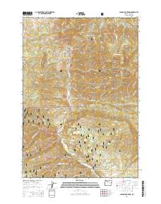 Canyon Mountain 2014 topographic map thumbnail