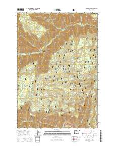 Elbow Creek 2014 topographic map thumbnail
